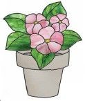 POTTED PRIMROSE